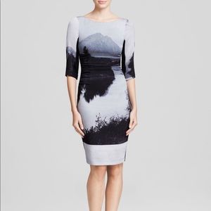 🥳🪩 TRACY REESE Winter Landscape silk dress, 2